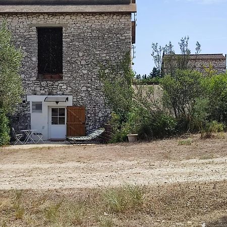 Les Oliviers Apartment Caumont-sur-Durance Bagian luar foto